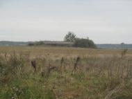 Тихе з panoramio.com