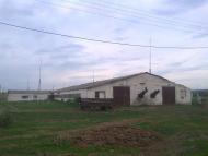 Новоганнівка з panoramio.com