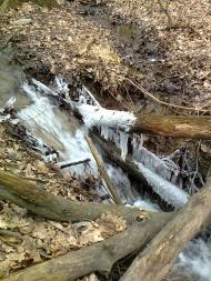 Тарасівка з panoramio.com