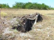 Дубове з panoramio.com