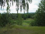 Кулики з panoramio.com