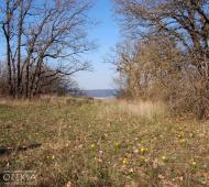 Richne - Latest photos