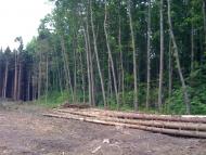 Карпівці з panoramio.com