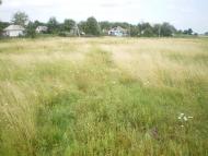 Нова Галещина з panoramio.com