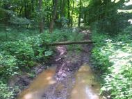 Іволжанське з panoramio.com