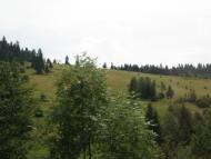 Лопушне з panoramio.com