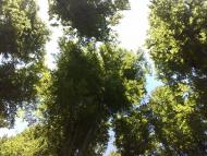 Порошково з panoramio.com