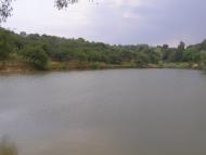 Моринці з panoramio.com