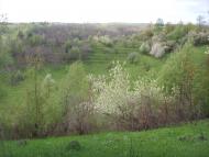 Набережне з panoramio.com