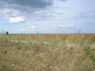 Салтикова Дівиця з panoramio.com - Салтыкова Девица