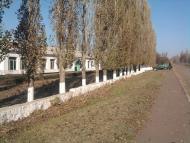 Воронівка - Останні фото