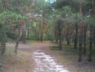 Волиця з panoramio.com