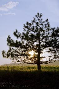 Долинне з panoramio.com