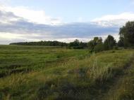 Скригалівка з panoramio.com