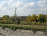 Баратівка з panoramio.com