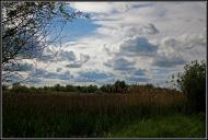 Дігтів - Останні фото