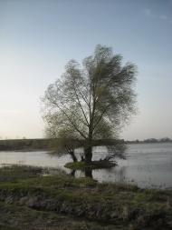 Більче з panoramio.com