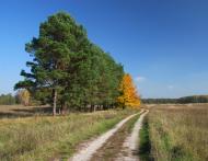 Вітрівка з panoramio.com