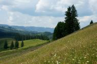 Сергії з panoramio.com