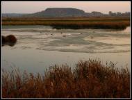 Дігтів з panoramio.com