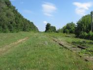 Цибулів з panoramio.com