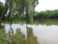 Дубровиця з panoramio.com