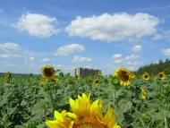 Бірки з panoramio.com