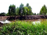 Бабка з panoramio.com