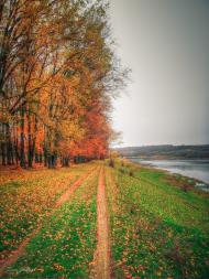 Токарівка з panoramio.com