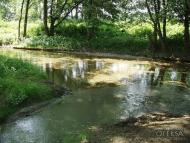 Новеньке з panoramio.com