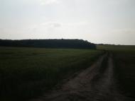 Полупанівка з panoramio.com