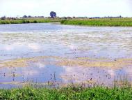 Хотин з panoramio.com