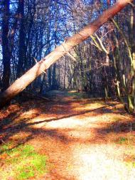 Демня з panoramio.com