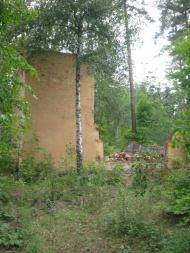 Кулики з panoramio.com