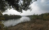 Берегове з panoramio.com
