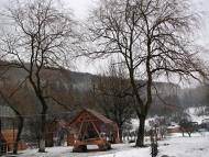 Криниця з panoramio.com