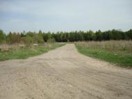 Вівчицьк з panoramio.com