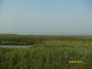 Малокатеринівка з panoramio.com