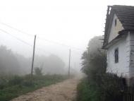 Мечищів з panoramio.com