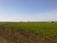 Сущани - Останні фото