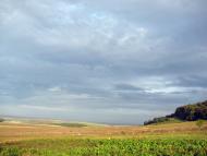 Мечищів з panoramio.com