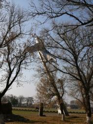 Червонознам'янка з panoramio.com