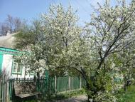 Чаплине з panoramio.com