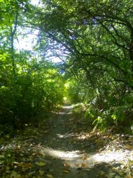 Миронівський - Останні фото