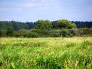 Старосілля з panoramio.com