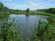 Бірки з panoramio.com