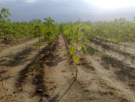 Михайлівка - Останні фото