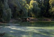 Онуфріївка з panoramio.com