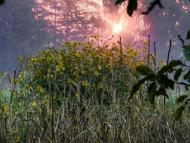 Угриничі з panoramio.com