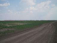 Райківщина з panoramio.com